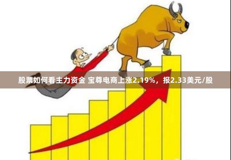 股票如何看主力资金 宝尊电商上涨2.19%，报2.33美元/股