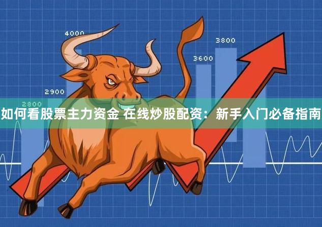 如何看股票主力资金 在线炒股配资：新手入门必备指南