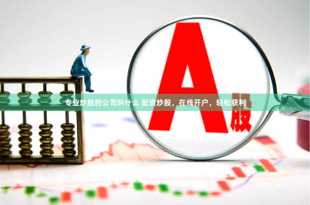 专业炒股的公司叫什么 配资炒股，在线开户，轻松获利
