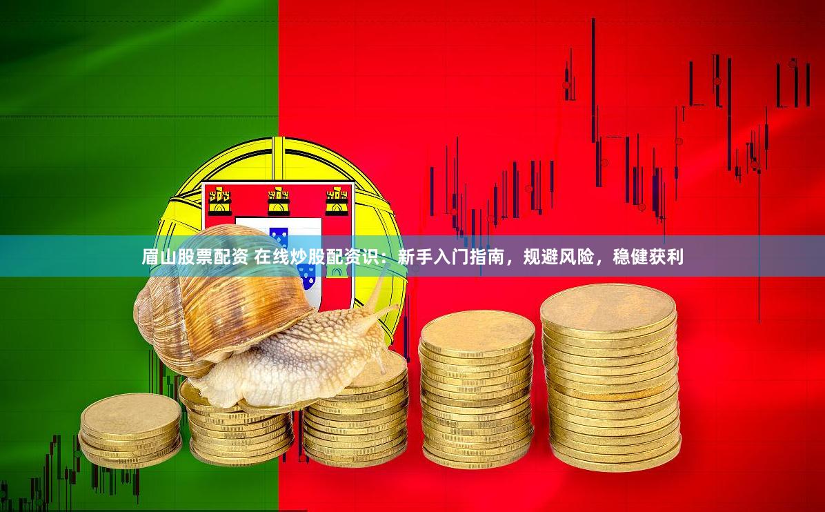 眉山股票配资 在线炒股配资识：新手入门指南，规避风险，稳健获利
